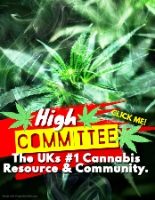 420 Business High Committee | UK Cannabis Culture in Lancing England